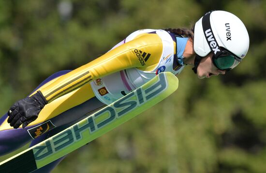 Ski jumping. Summer Grand Prix. Day Two