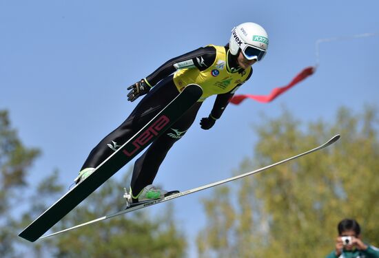 Ski jumping. Summer Grand Prix. Day Two