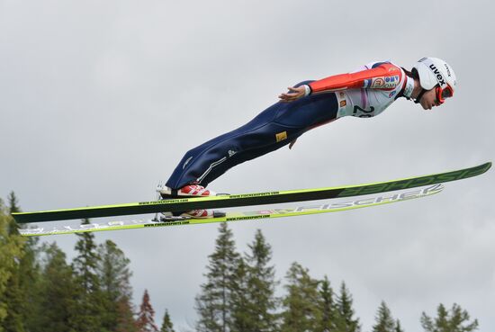 Ski jumping. Summer Grand Prix. Day Two