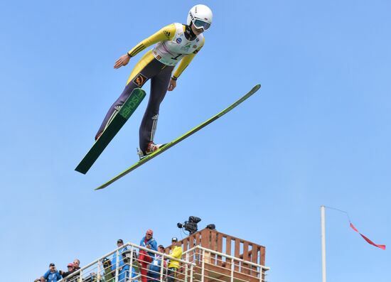Ski jumping. Summer Grand Prix. Day Two