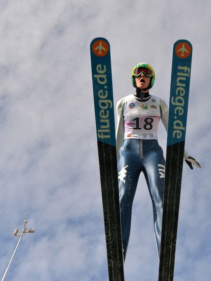 Ski jumping. Summer Grand Prix. Day Two