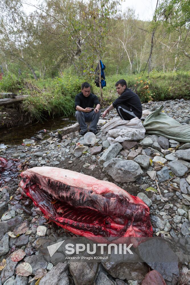 Alhalalalai ritual holiday in Kamchatka