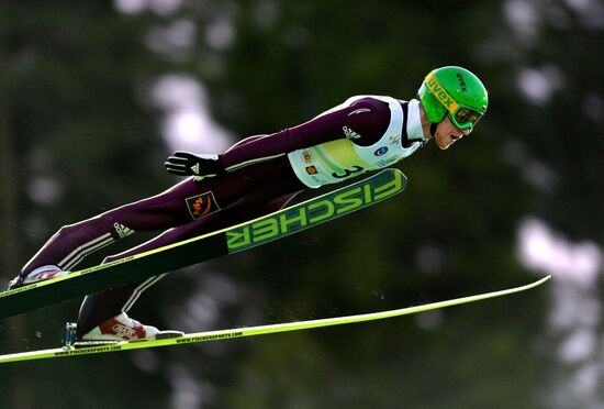 Ski jumping. Summer Grand Prix. Day Two