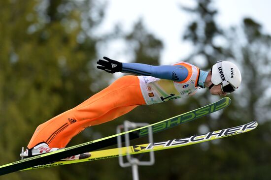 Ski jumping. Summer Grand Prix. Day Two