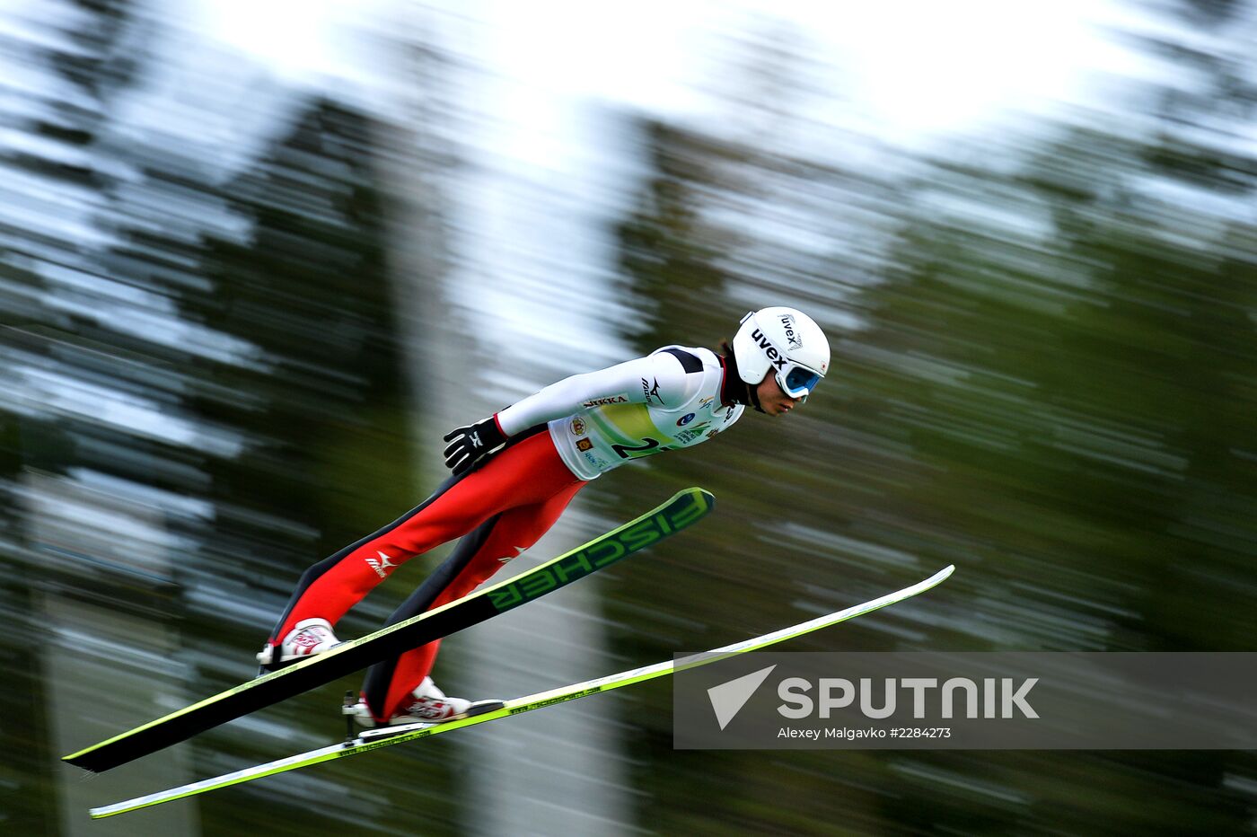 Ski jumping. Summer Grand Prix. Day Two