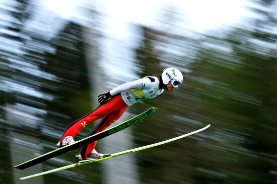 Ski jumping. Summer Grand Prix. Day Two