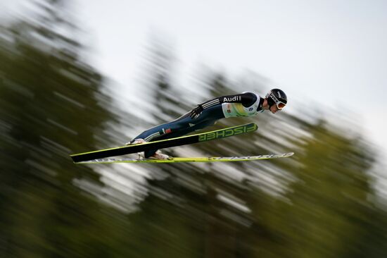 Ski jumping. Summer Grand Prix. Day Two