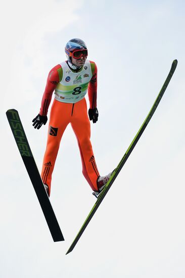 Ski jumping. Summer Grand Prix. Day Two