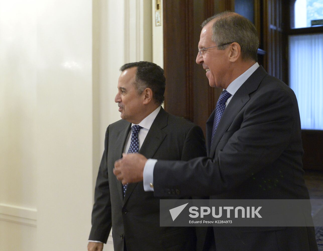 Meeting of Russian and Egyptian Foreign Affairs ministers