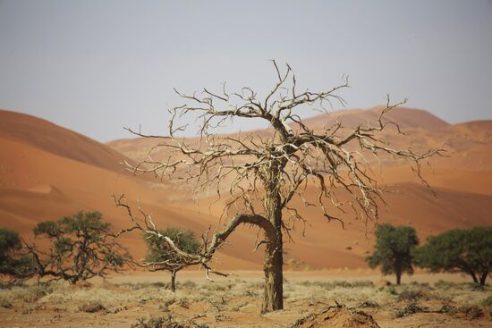 World countries. Namibia