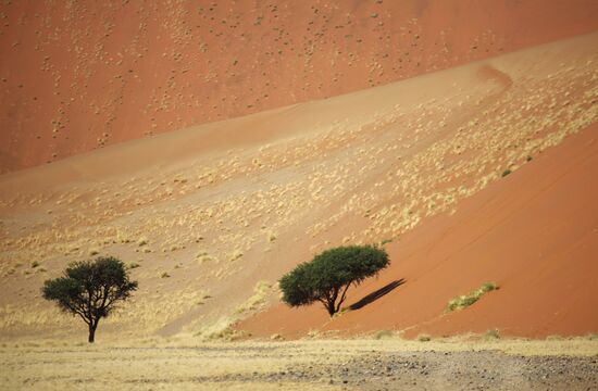 Namibia