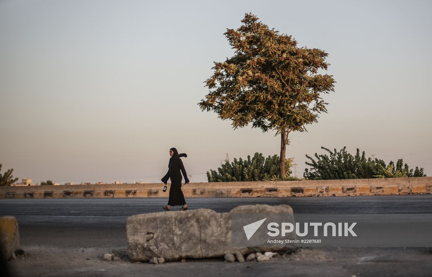 Situation in Ghouta, Syria