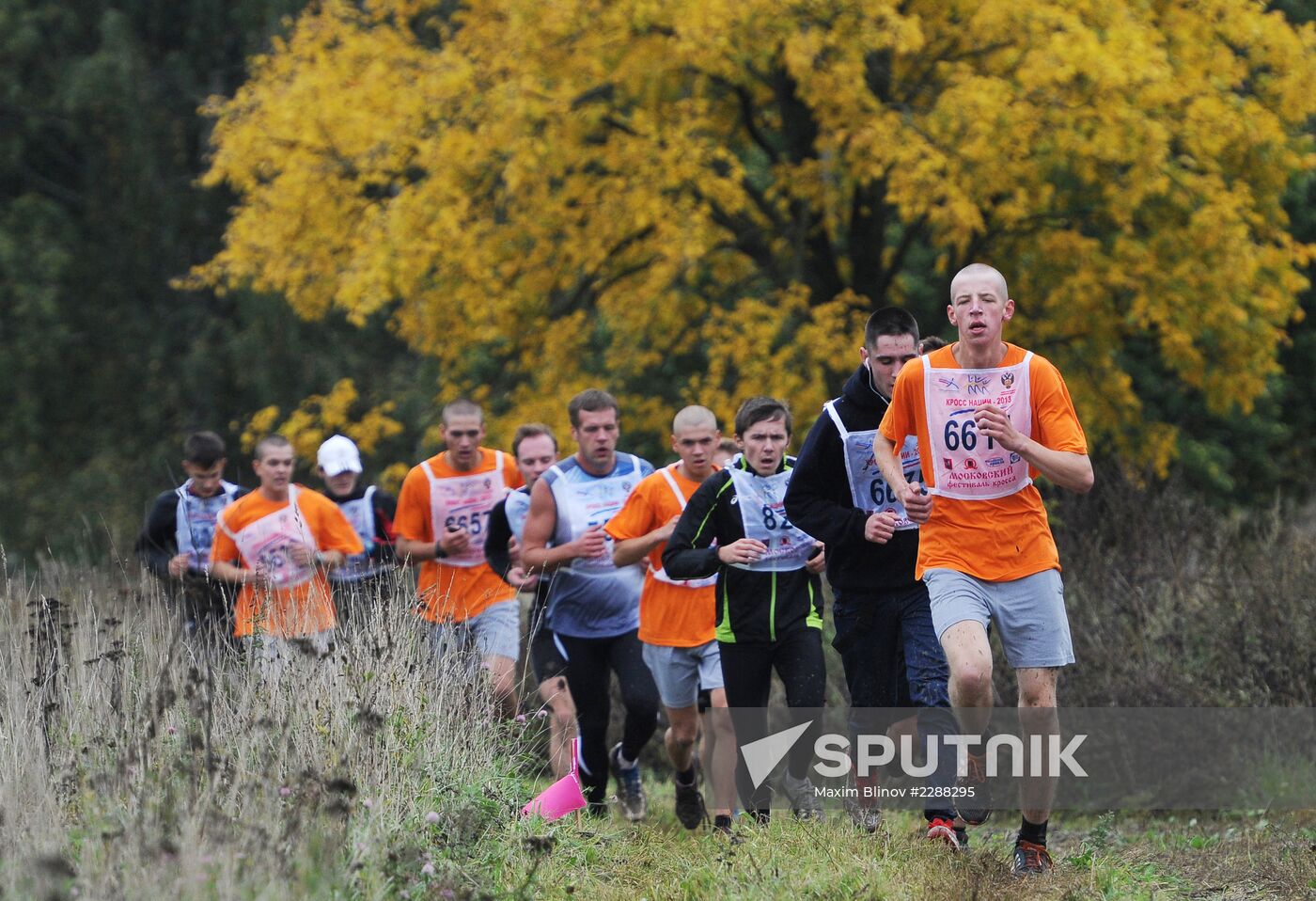 Russia's National Cross-Country Run 2013