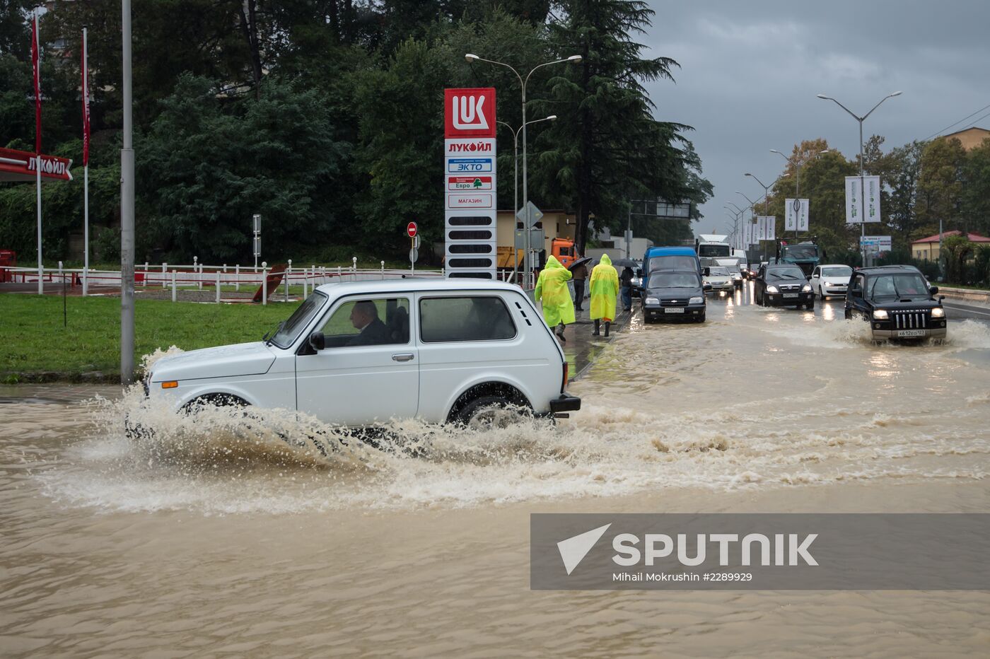 After rainfall in Sochi