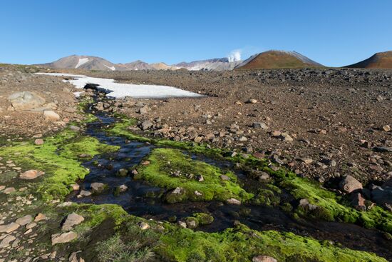 Mutnovsky and Gorely volcanoes in Kamchatka