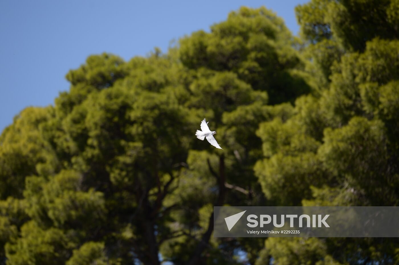 Olympic flame lit in Greece