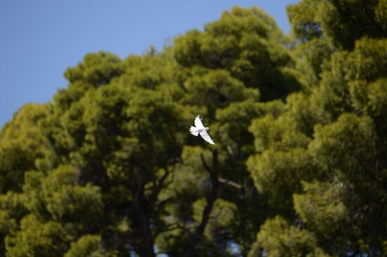 Olympic flame lit in Greece