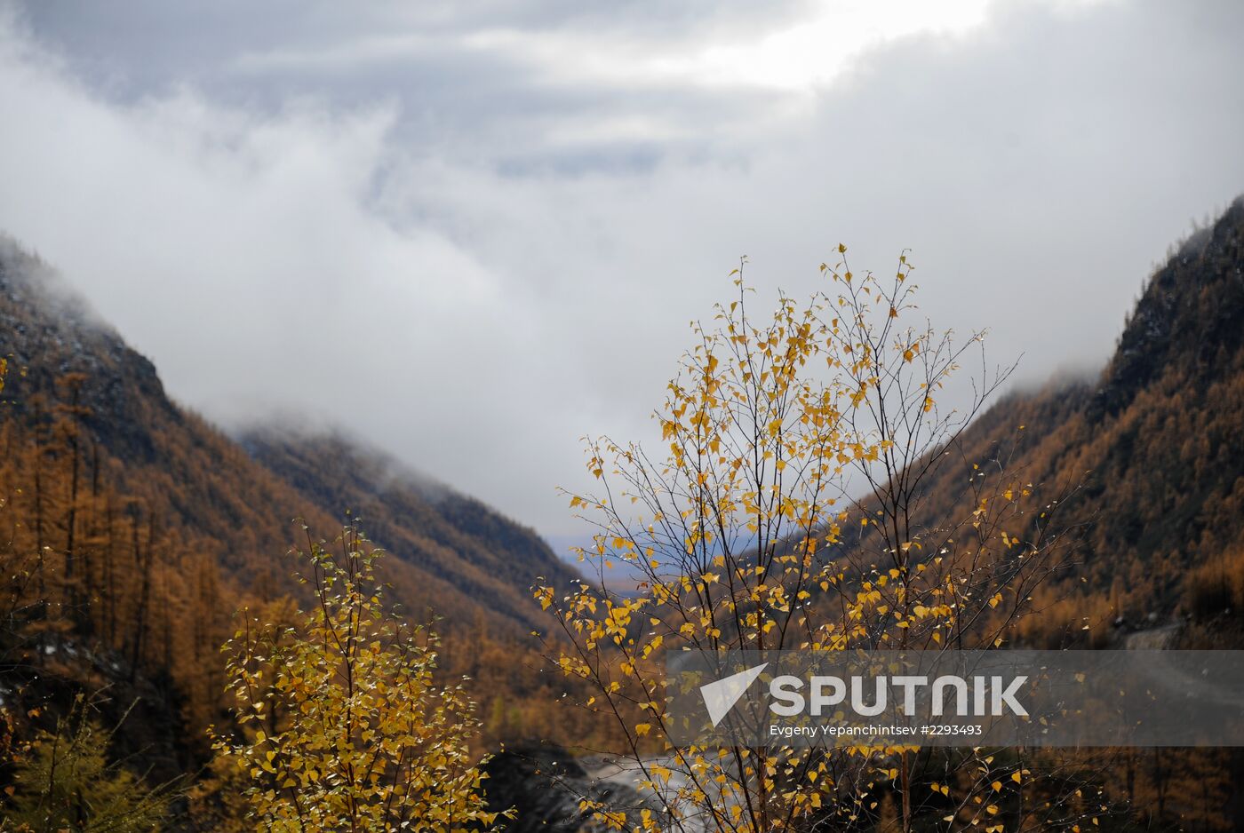 Russian regions. Trans-Baikal Territory
