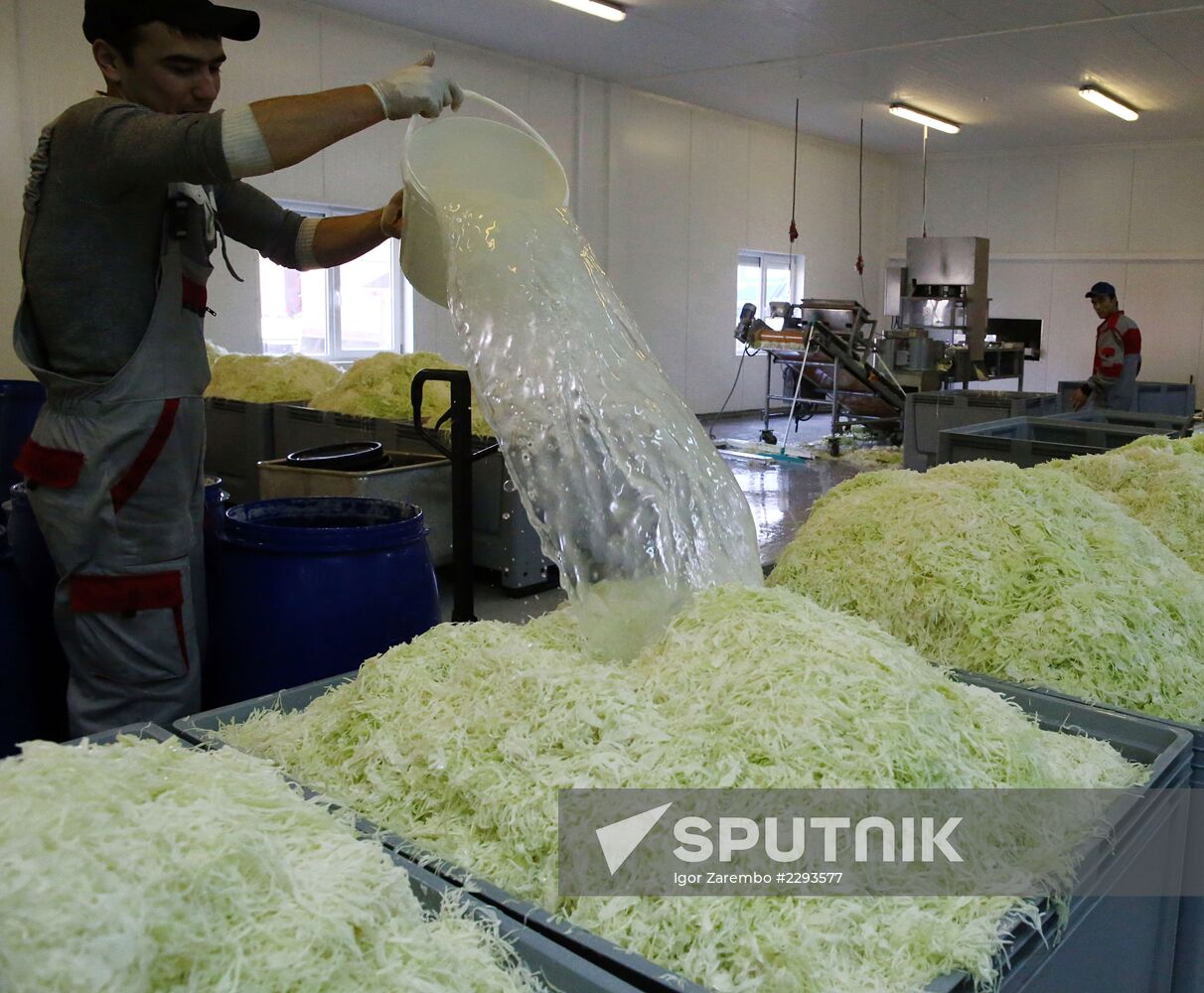 Canned vegetables production at Kaliningrad plant