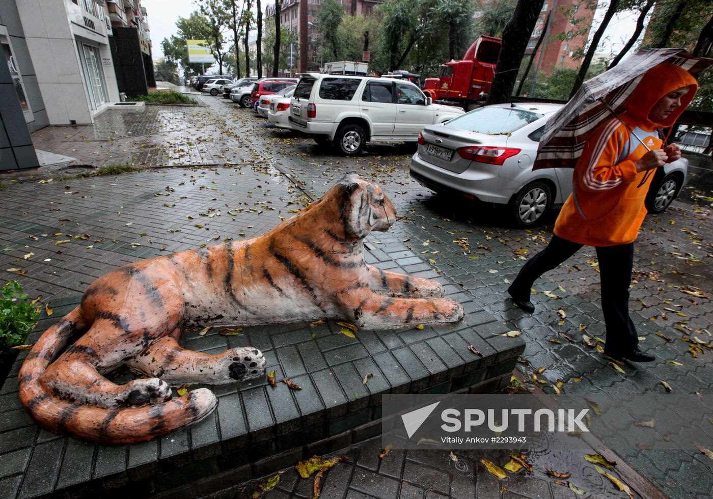 Tigers of Vladivostok