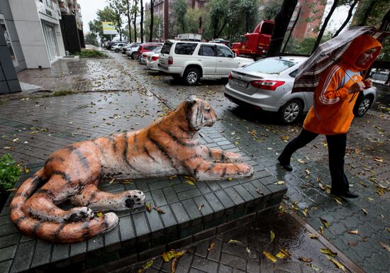 Tigers of Vladivostok
