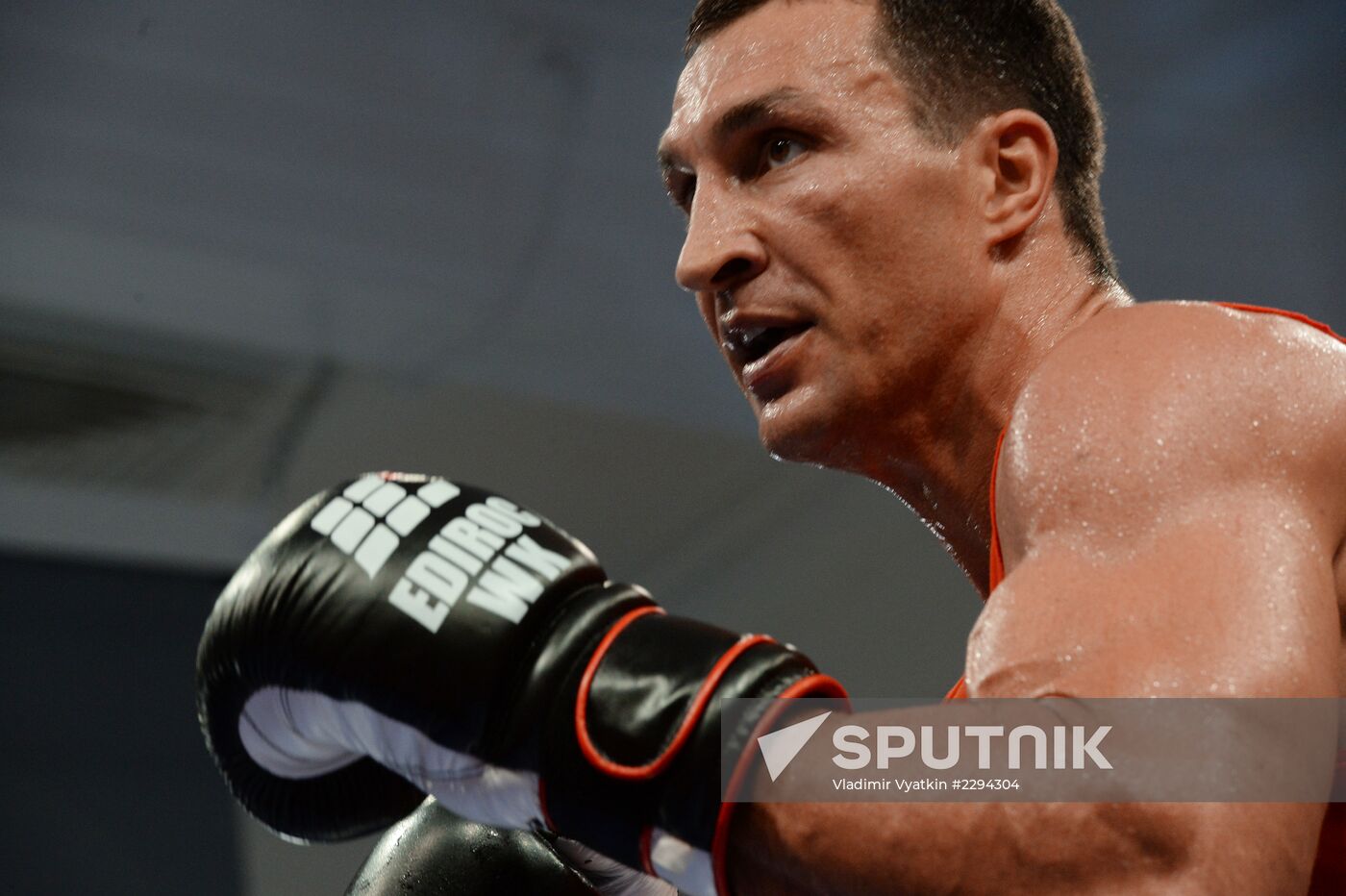Boxing. Training of Alaexander Povetkin and Vladimir Klitschko before fight