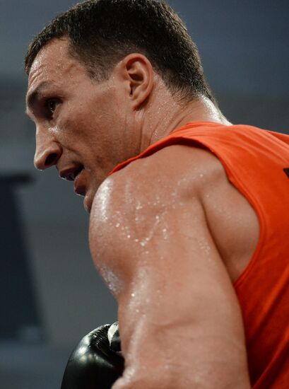 Boxing. Training of Povetkin and Klitschko before fight