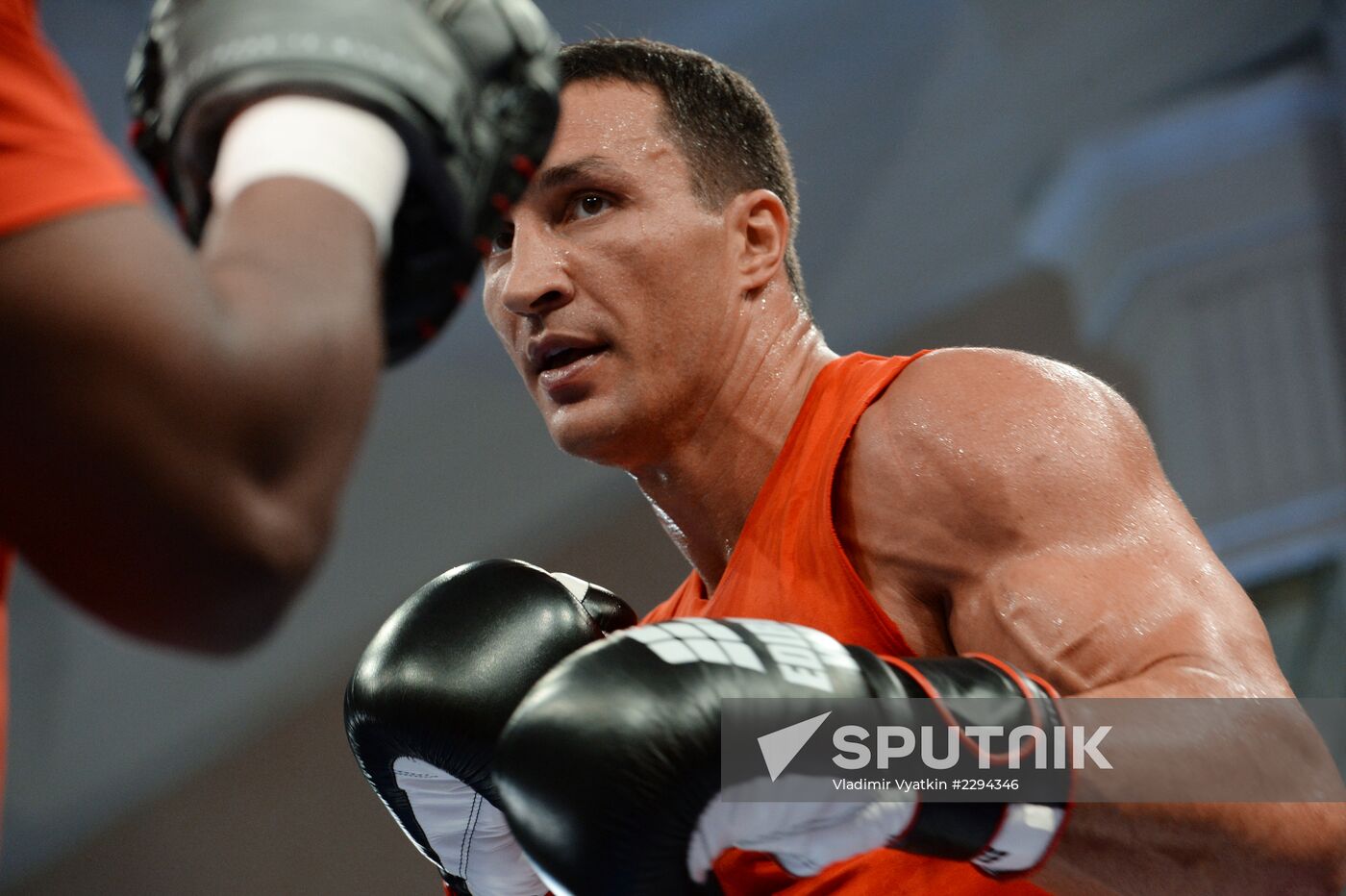 Boxing. Training of Povetkin and Klitschko before fight