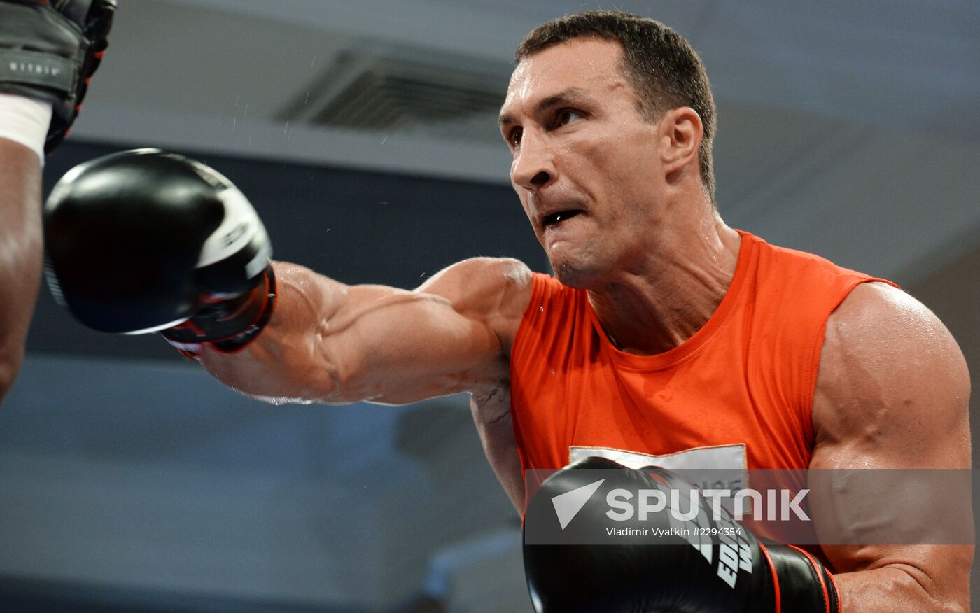 Boxing. Training of Povetkin and Klitschko before fight