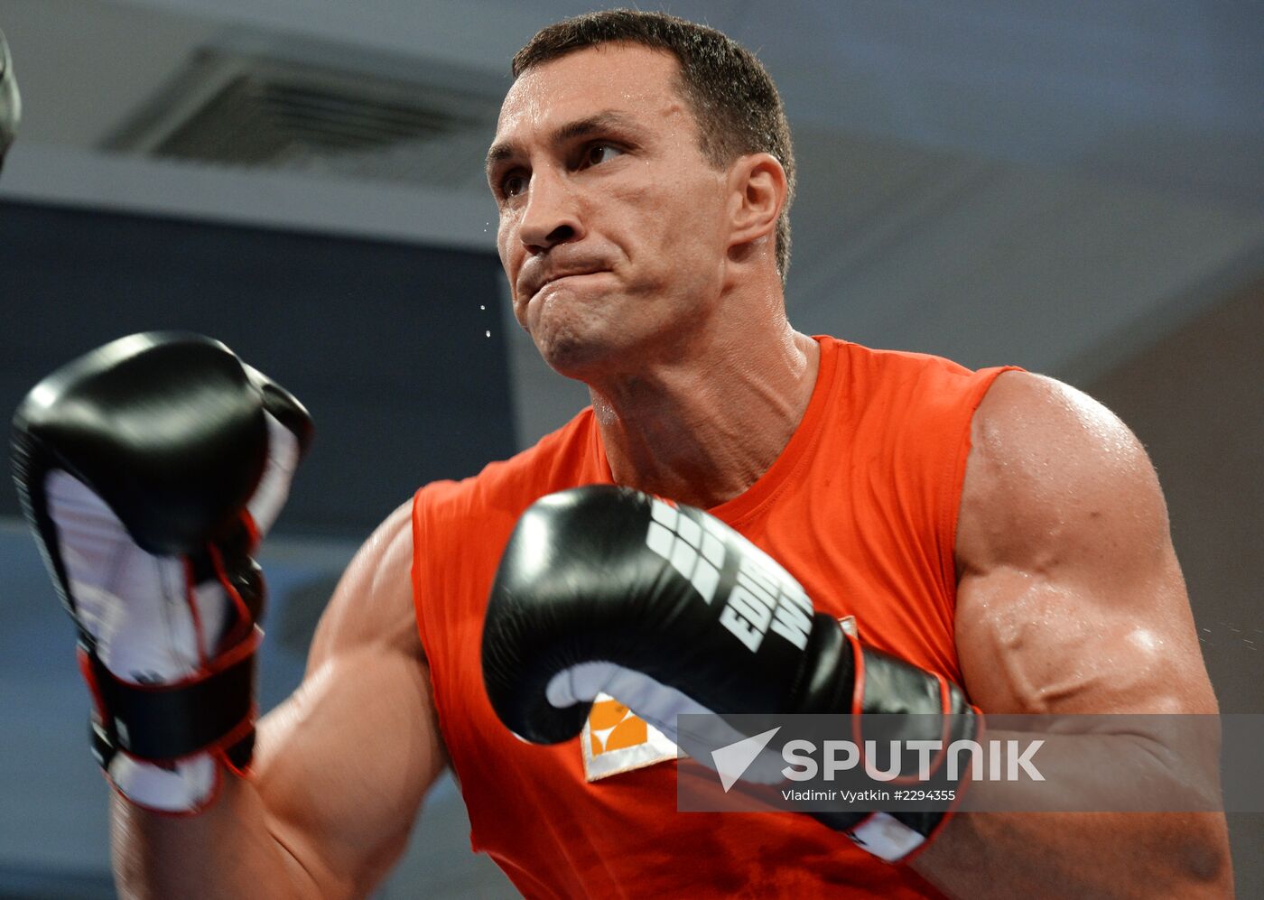 Boxing. Training of Povetkin and Klitschko before fight