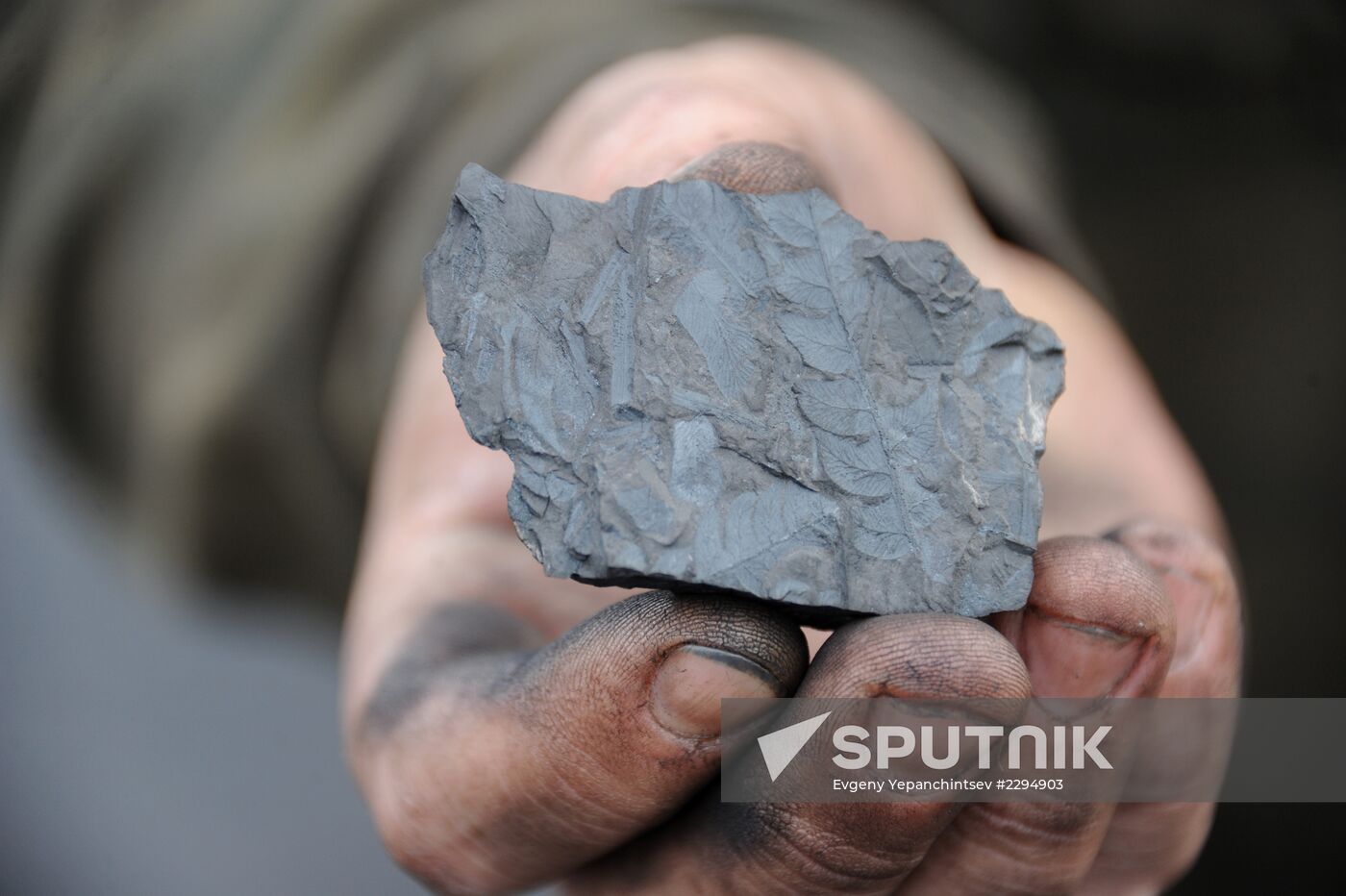 Coal extraction at Apsatskoye coal field in Trans-Baikal Territory