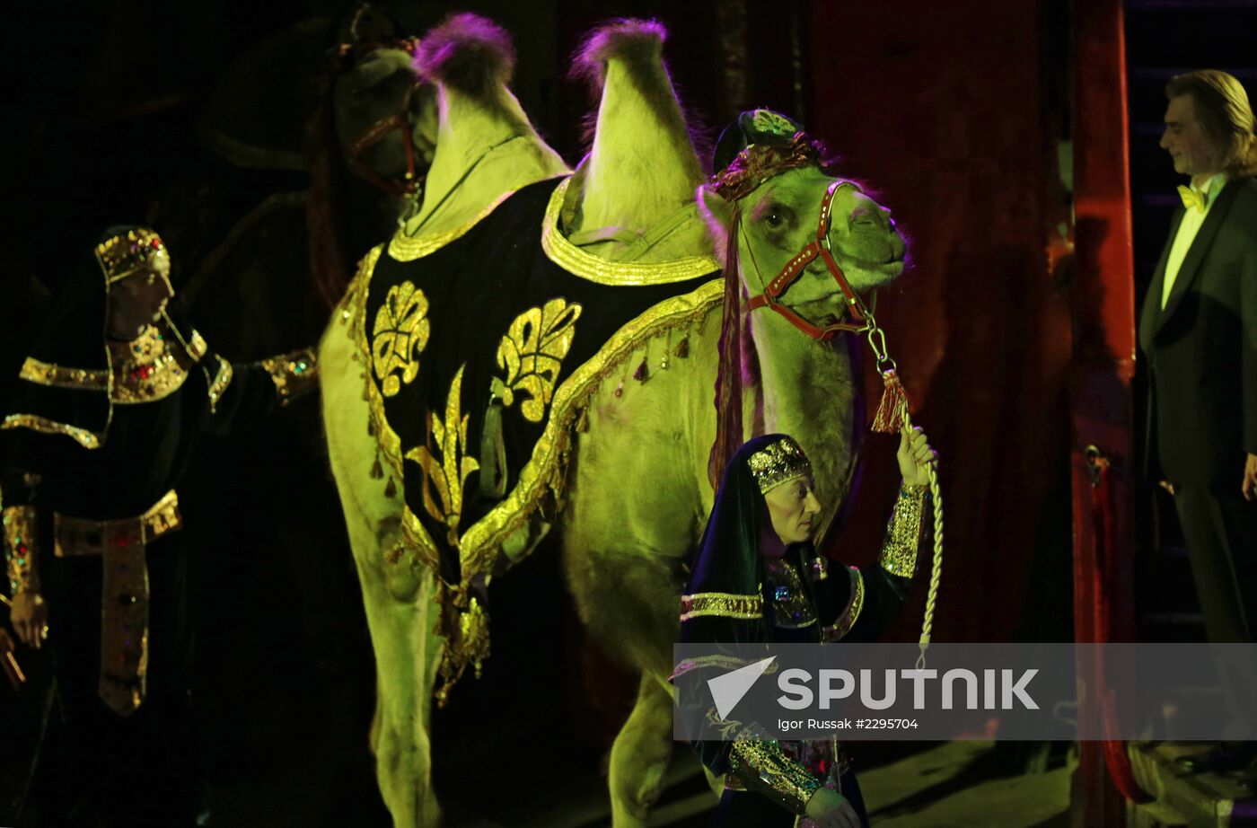 New program in Slava Polunin Circus