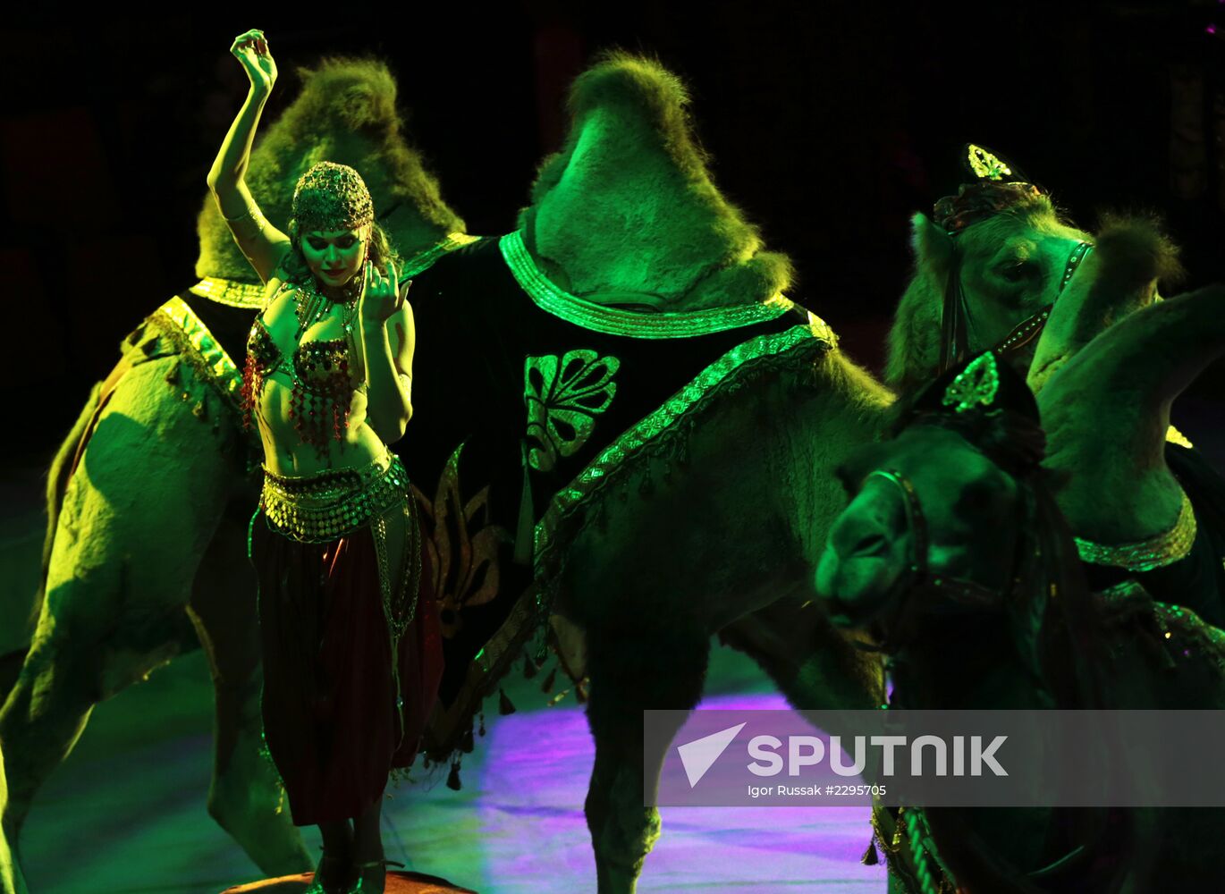 New program in Slava Polunin Circus
