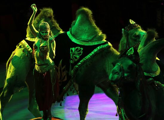 New program in Slava Polunin Circus