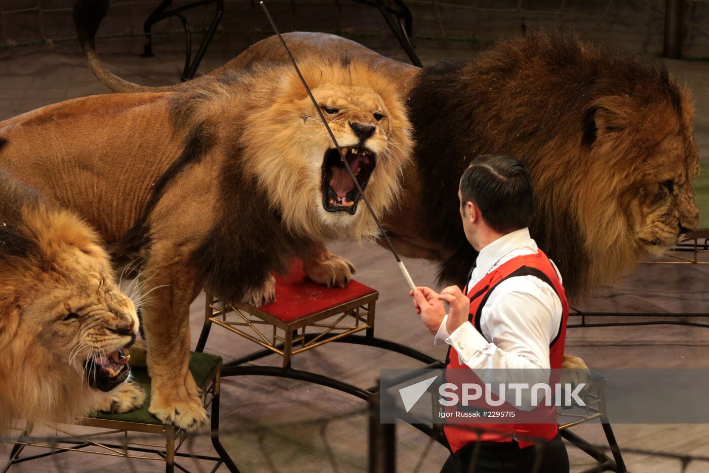 New program in Slava Polunin Circus