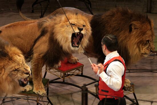 New program in Slava Polunin Circus