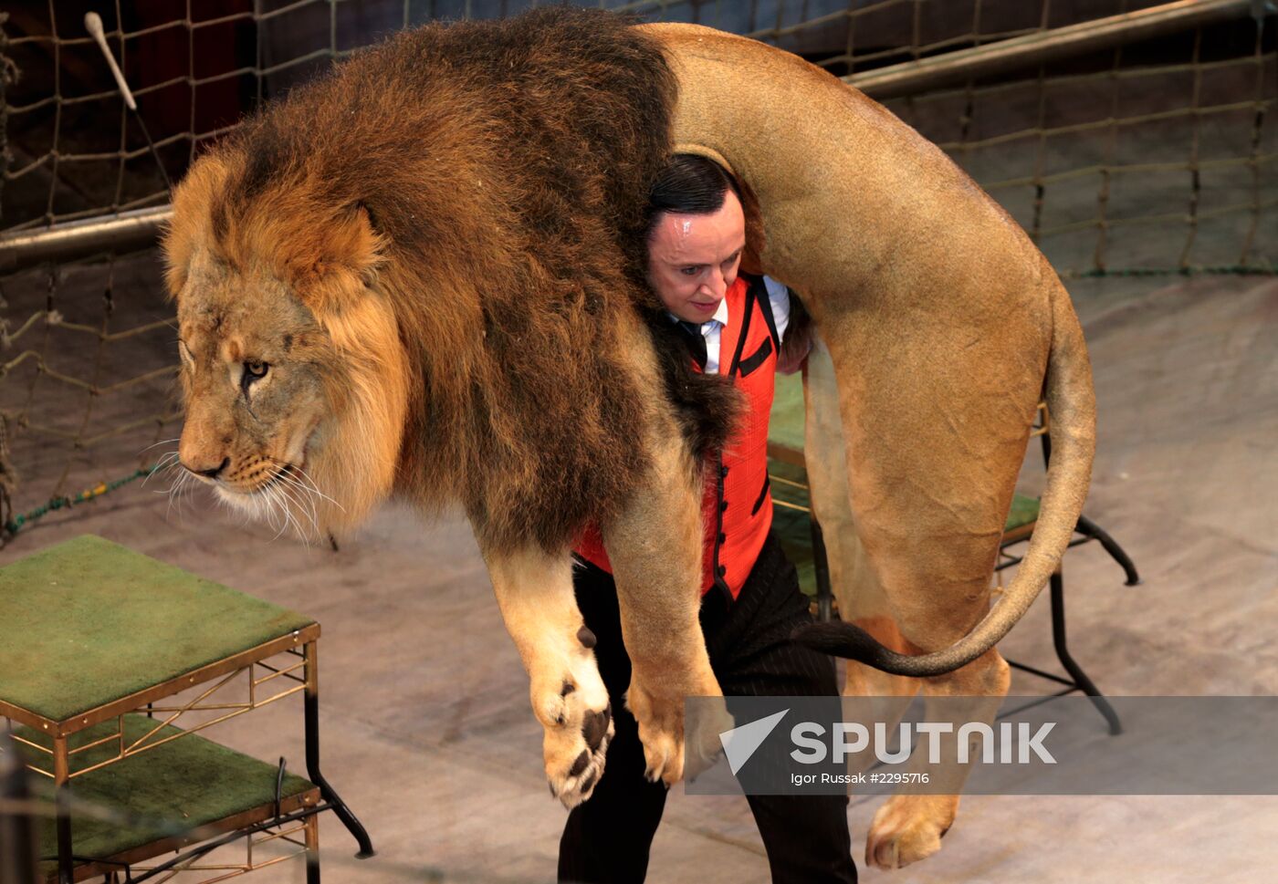 New program in Slava Polunin Circus