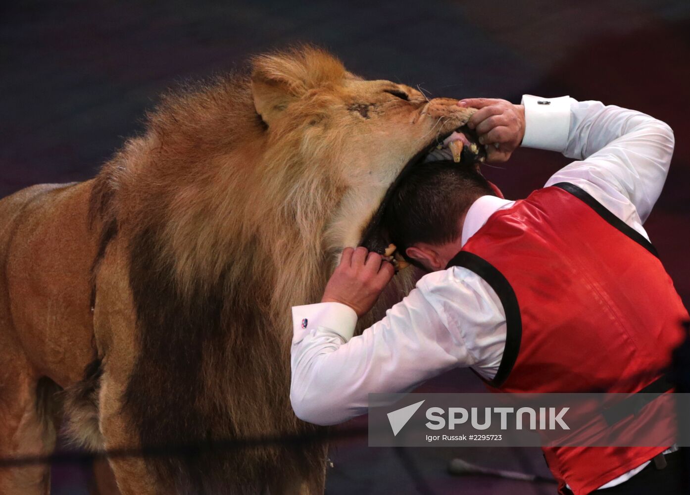 New program in Slava Polunin Circus