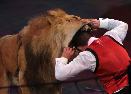 New program in Slava Polunin Circus