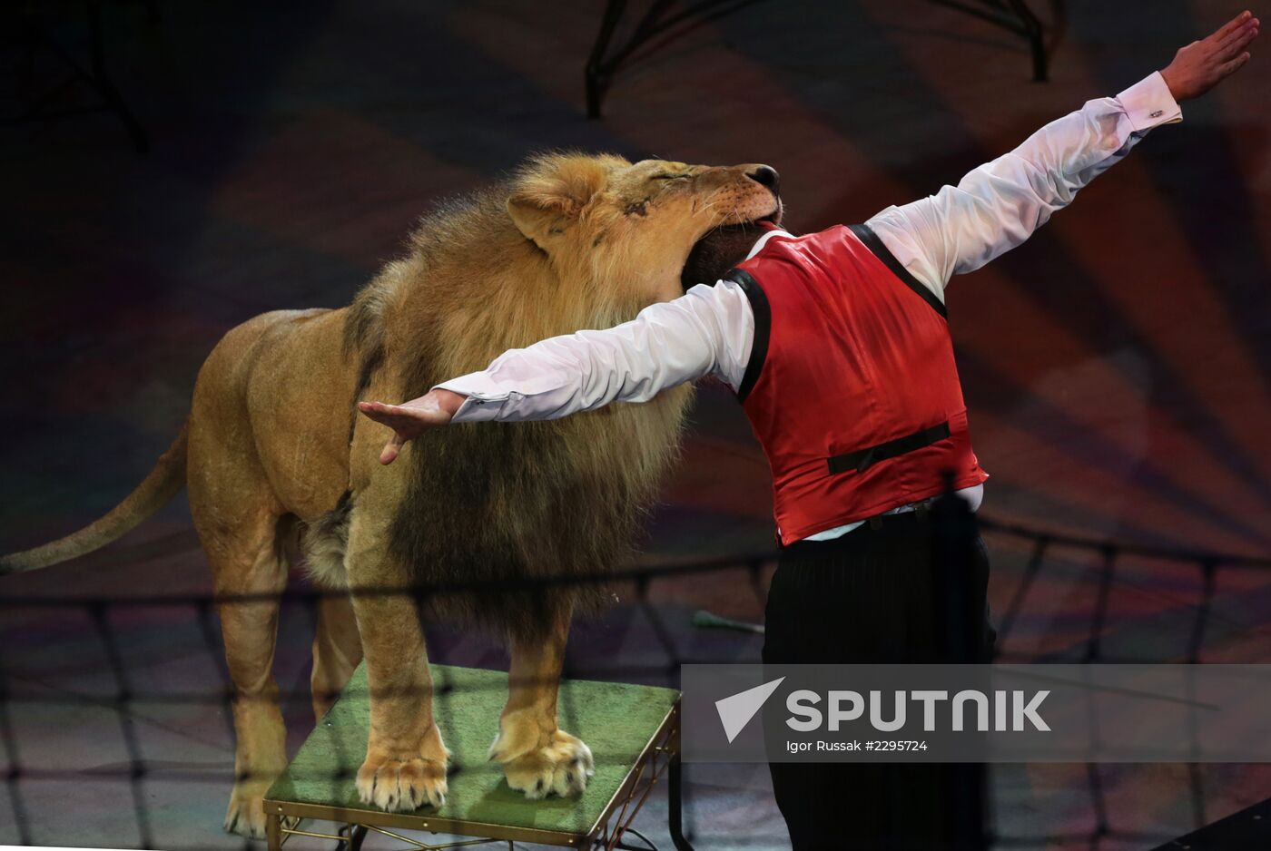 New program in Slava Polunin Circus