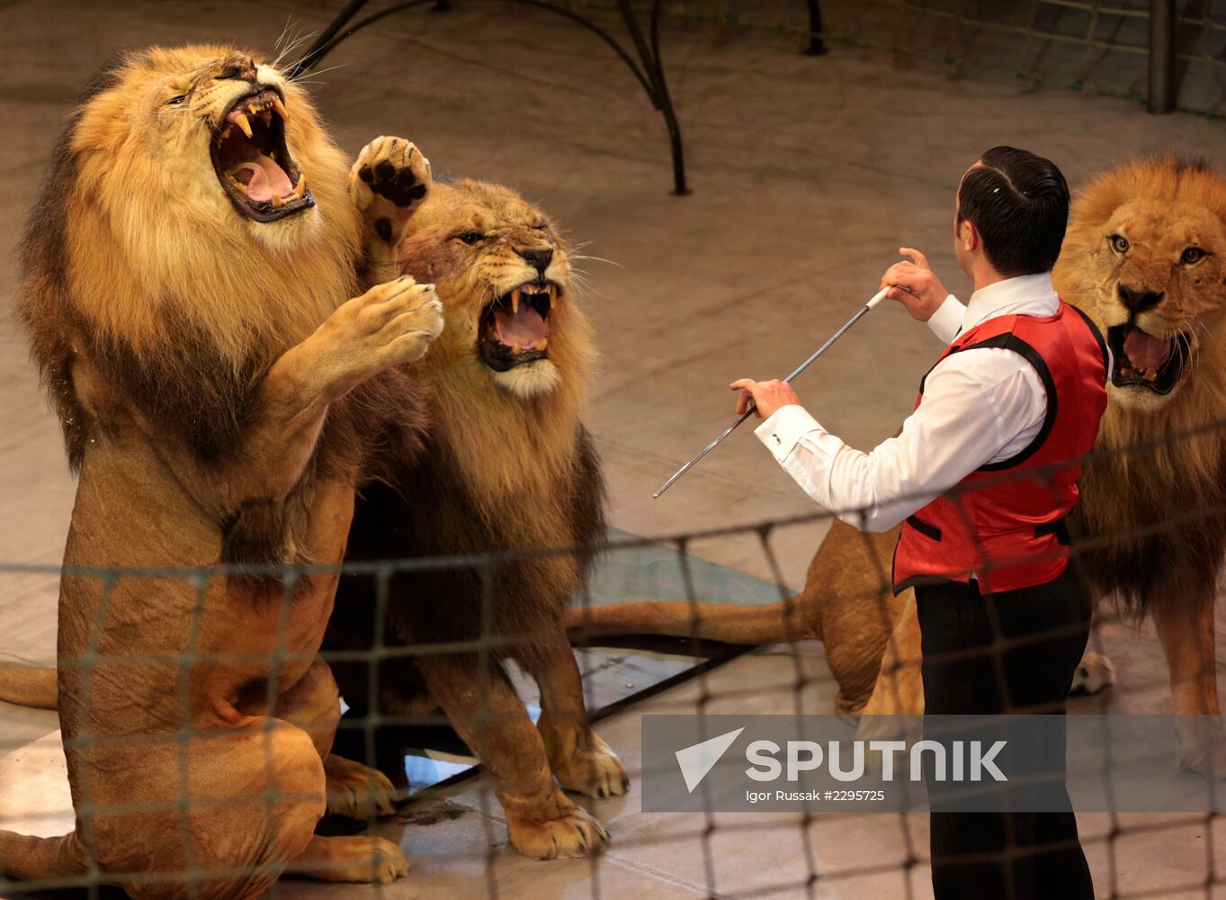 New program in Slava Polunin Circus