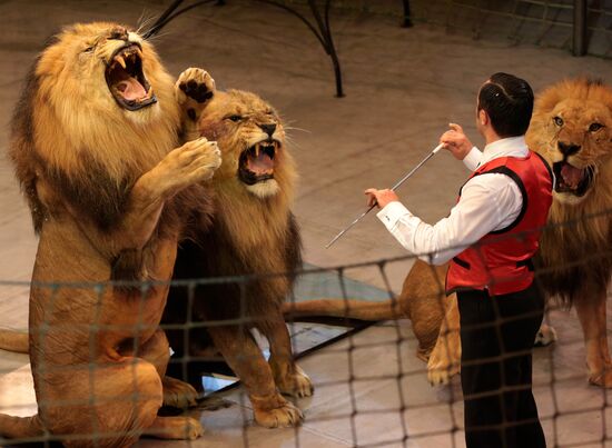 New program in Slava Polunin Circus