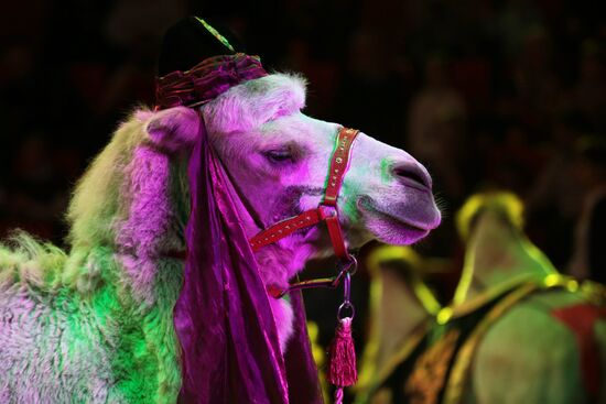 New program in Slava Polunin Circus