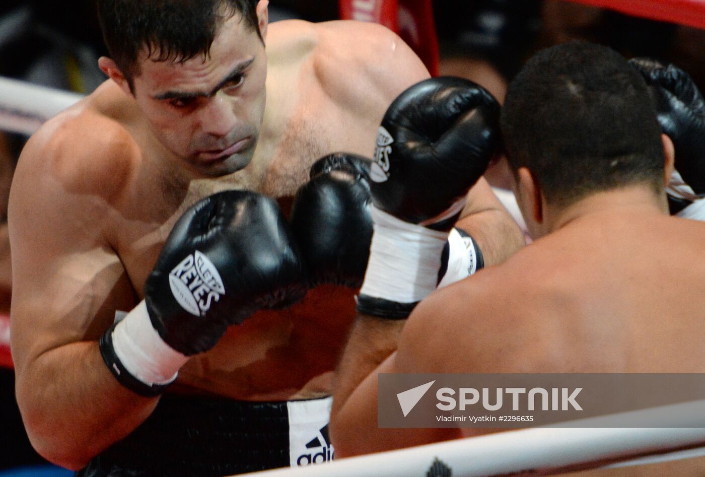 Boxing. Klitschko-Povetkin undercard