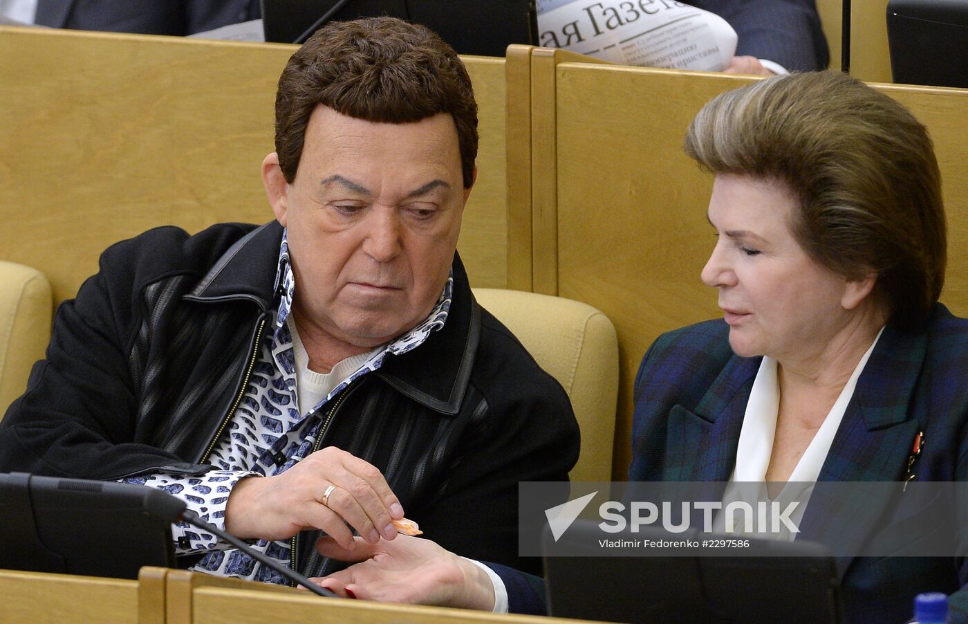 State Duma's plenary meeting