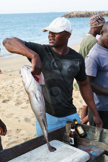 World countries. Angola