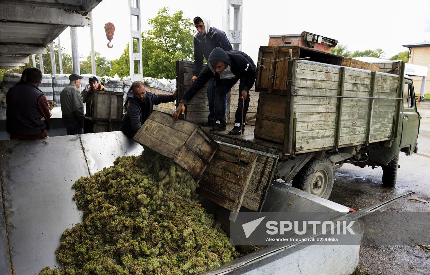 Collection and processing of grapes at Chateau Manavi in Kakheti