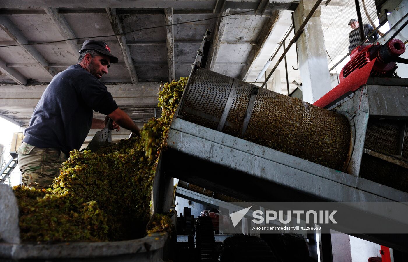 Grape harvesting and vinemaking at the Shato Manavi plant in Kakhetia