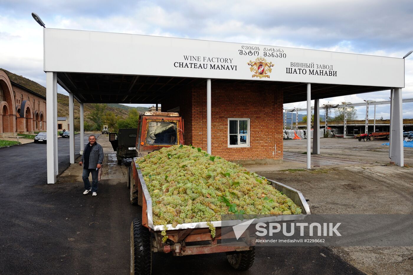 Grape harvesting and winemaking at the Shato Manavi plant in Kakhetia
