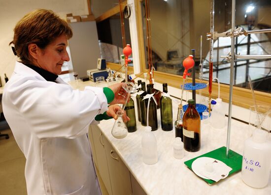 Harvest and processing of grapes at Chateau Manavi, Kakhetia